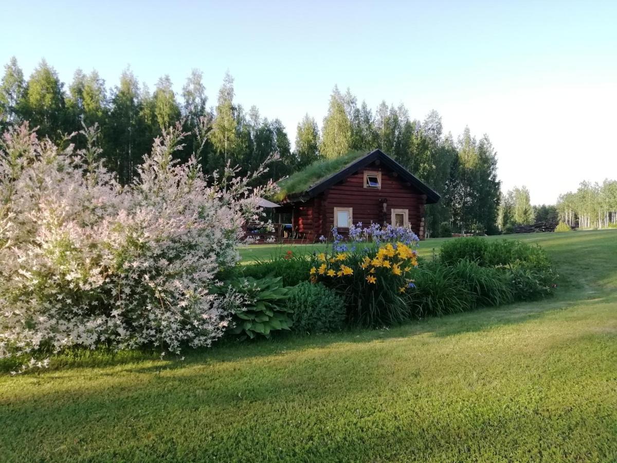 Vila Paeikseranna Holiday Centre Nedsaja Exteriér fotografie